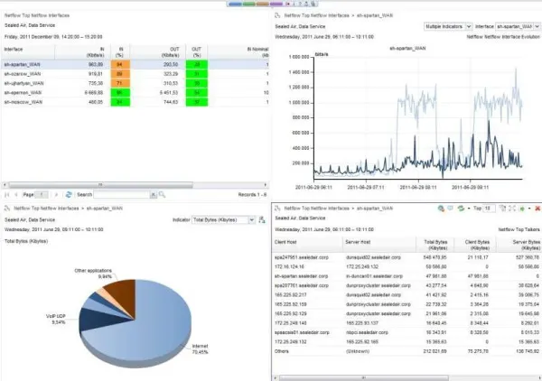 Система анализа использования услуг операторского класса и мониторинга производительности приложений InfoVista 5View Service Data Manager